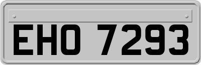 EHO7293