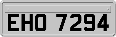 EHO7294