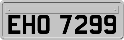 EHO7299