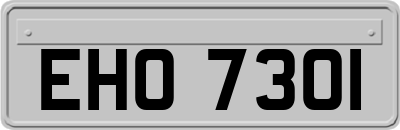 EHO7301