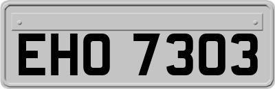 EHO7303