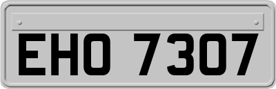 EHO7307