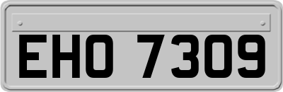 EHO7309