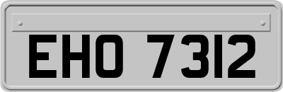 EHO7312