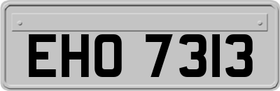 EHO7313
