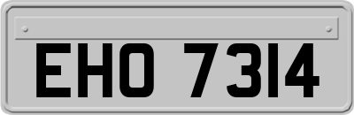 EHO7314