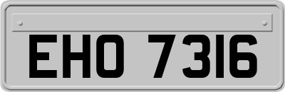 EHO7316