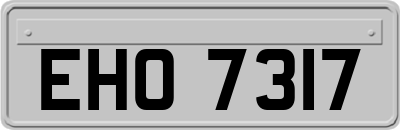 EHO7317