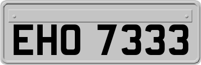 EHO7333