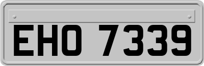 EHO7339