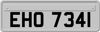 EHO7341