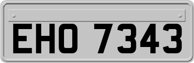EHO7343