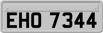 EHO7344