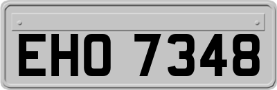 EHO7348