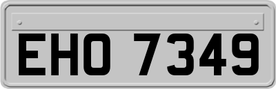 EHO7349