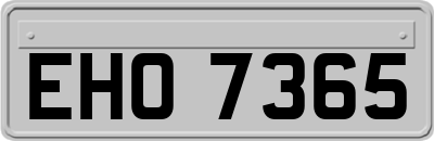 EHO7365