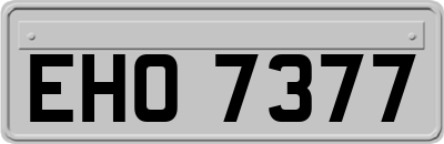 EHO7377