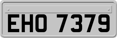 EHO7379
