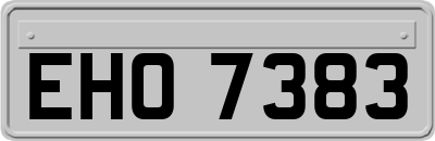 EHO7383