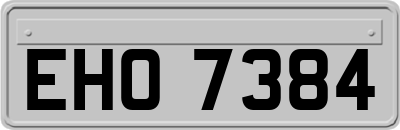 EHO7384