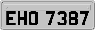EHO7387