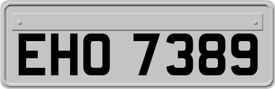 EHO7389