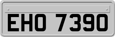 EHO7390