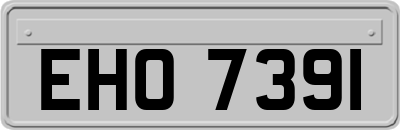EHO7391