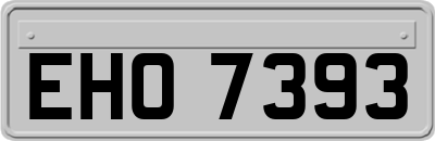 EHO7393