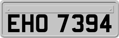 EHO7394