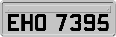 EHO7395