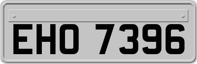 EHO7396