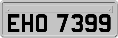 EHO7399