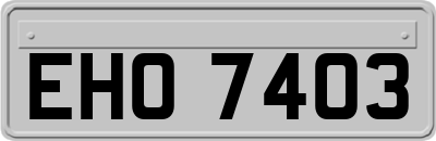 EHO7403