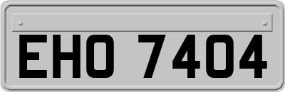 EHO7404