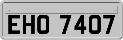 EHO7407