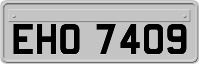 EHO7409