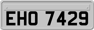 EHO7429