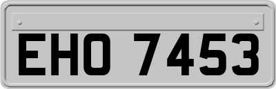 EHO7453