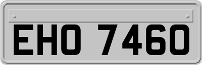 EHO7460