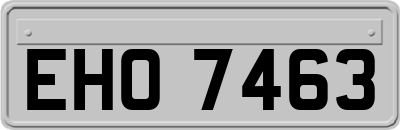 EHO7463