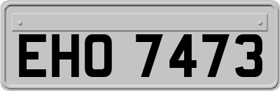 EHO7473