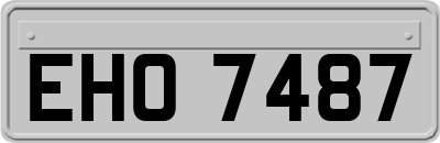EHO7487