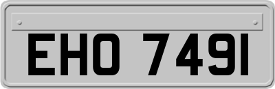 EHO7491