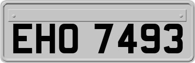 EHO7493