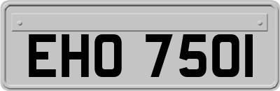 EHO7501