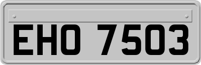 EHO7503