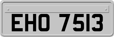 EHO7513