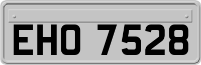 EHO7528