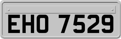 EHO7529